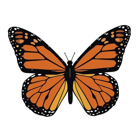 Monarch butterfly vector | CRAFTSMANSPACE