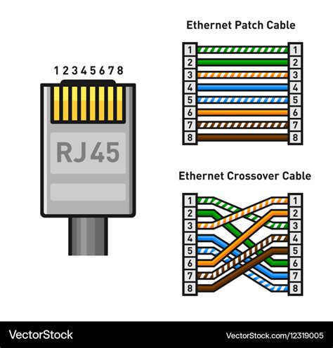 Ethernet connector pinout color code straight Vector Image