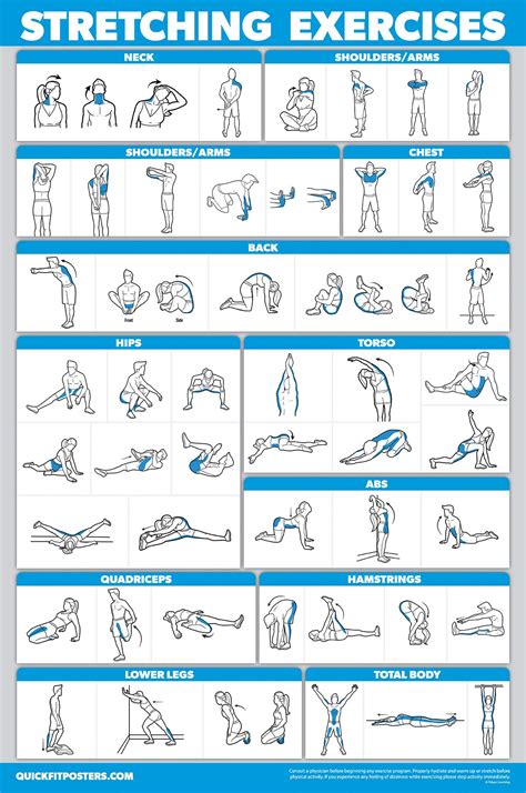 Palace Learning 3 Pack: Bodyweight Workouts + Stretching Exercises ...