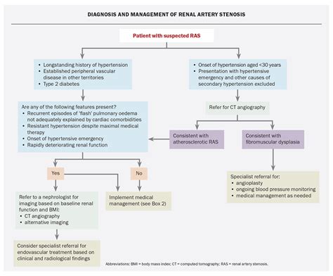 Renal artery stenosis and hypertension: when to screen and how to treat ...