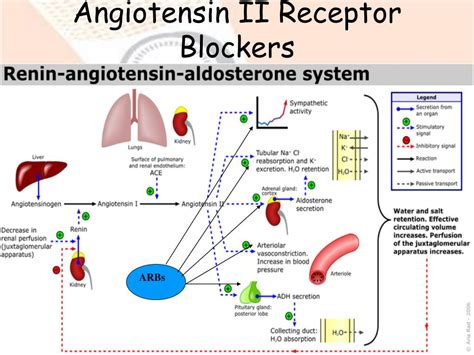 PPT - Hypertension PowerPoint Presentation, free download - ID:1359807