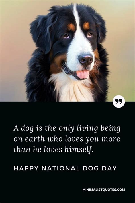 International Dog Day Quotes, Wishes & Messages