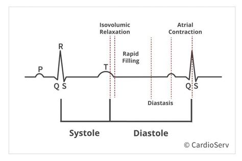 Understanding the Basics: Pathophysiology of Diastole | Understanding ...