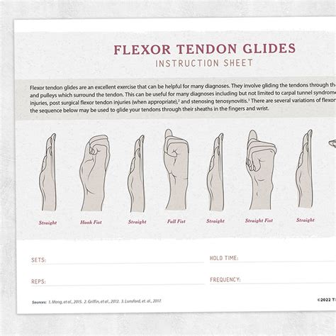 Flexor Tendon Glides Instruction Sheet – Adult and pediatric printable ...