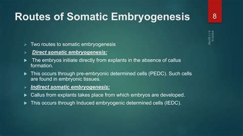 Embryogenesis