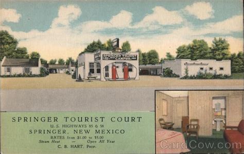 Springer Tourist Court New Mexico Postcard