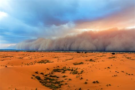 Sahara Dune Pictures | Download Free Images on Unsplash