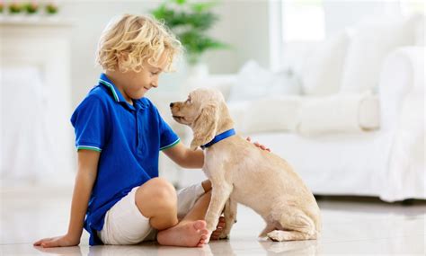 13 Ways to Teach Kids How to Interact with Dogs Safely!