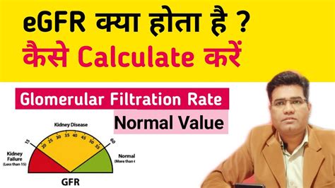 What is eGFR? (Estimated Glomerular Filtration Rate) | Normal Range ...