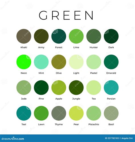 Green Color Shades Swatches Palette With Names Cartoon Vector ...