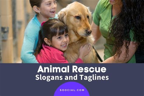 361 Animal Rescue Slogans and Taglines To Fetch Attention - Soocial