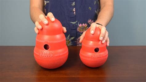 Kong Wobbler Review — hazeldog