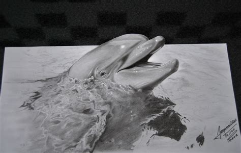 Realistic Dolphin Drawing