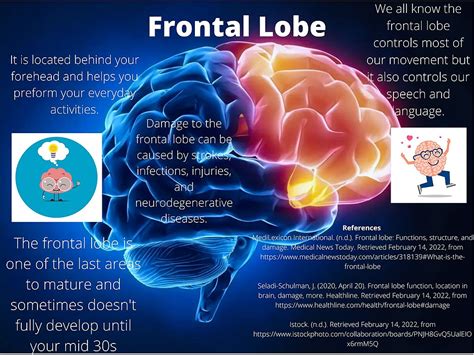 Frontal Lobe Brain Injury - Physiopedia