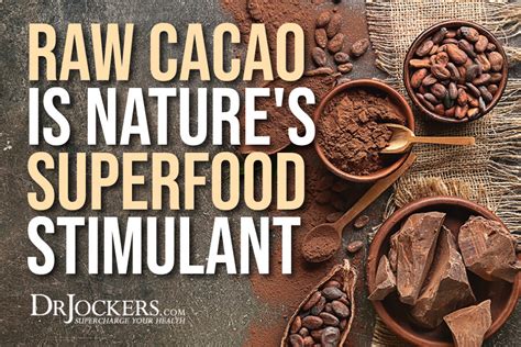 Raw Cacao is Nature's SuperFood Stimulant - DrJockers.com﻿﻿