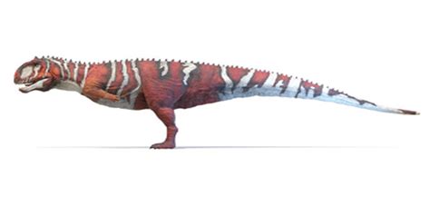 Majungasaurus dinosaurs , facts | pictures -Majungasaurus habitat.