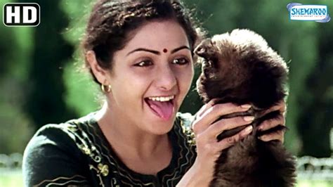 Sridevi Movies | 15 Best Films You Must See - The Cinemaholic