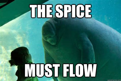 THE SPICE MUST FLOW - Overlord Manatee - quickmeme