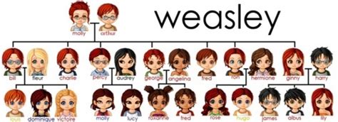 Weasley Family Tree - The New Generation of Harry Potter Photo ...