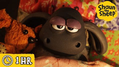 Shaun the Sheep 🐑 Timmy's Nightime Adventure 🦔🍂 Full Episodes ...