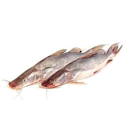 Buy Bengali Fish Corner Fish - Singhara / Ayar Maach / Fresh Water Cat ...