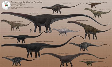 Sauropods of the Morrison Formation by PaleoGuy on DeviantArt ...