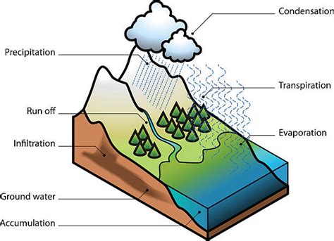 Sublimation Water Cycle