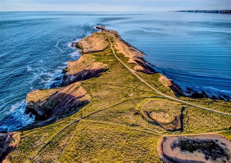 Walk: Filey Brigg Country Park - Welcome to Yorkshire