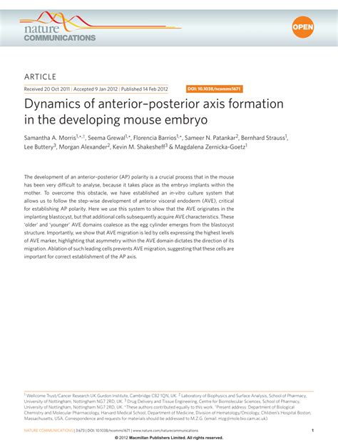 (PDF) Dynamics of anterior-posterior axis formation in the developing ...