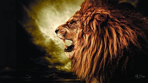 Lion Roar Wallpapers - Wallpaper Cave