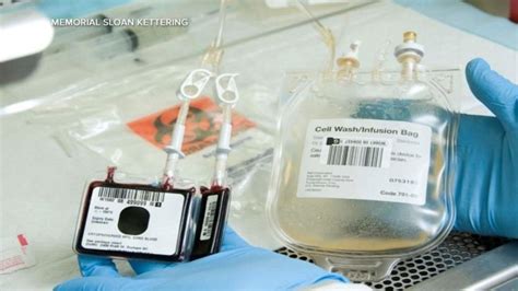 Video How 'cord blood’ is helping bone marrow transplant research - ABC ...