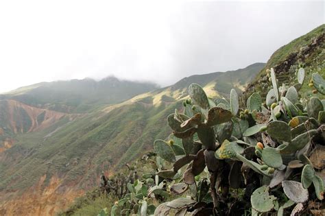 Bark and Purl: Peru: Hiking in the Colca Canyon