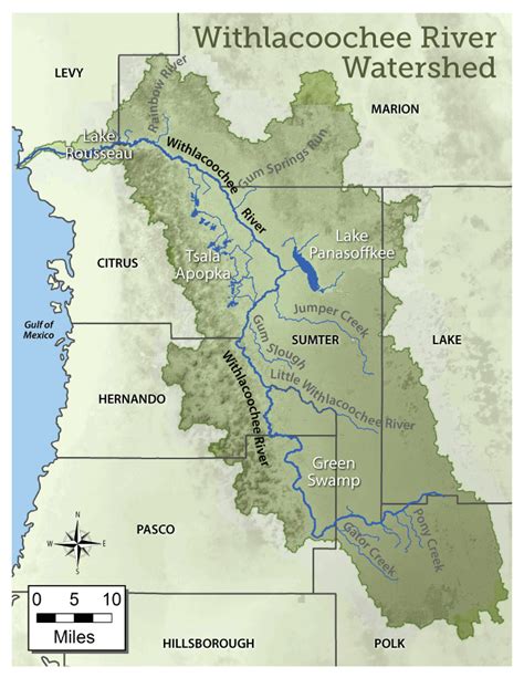 Withlacoochee River Watershed Initiative | WaterMatters.org