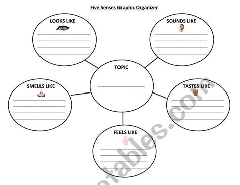 five senses exercises