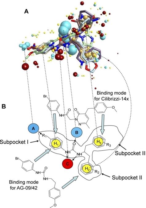 Formyl Peptide Receptors: - Quinn Lab