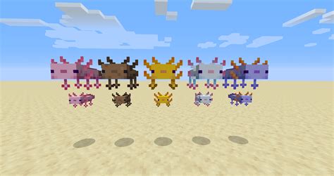 All the Axolotl variants from the new snapshot! : r/Minecraft