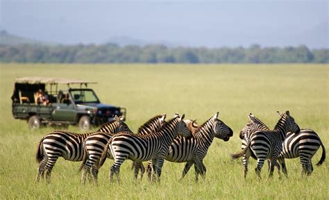 Visit The Great Rift Valley In Kenya: Luxurious Safaris