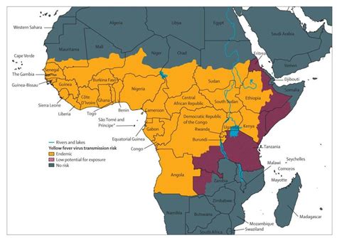 What’s behind Angola’s first yellow fever outbreak in 3 decades ...