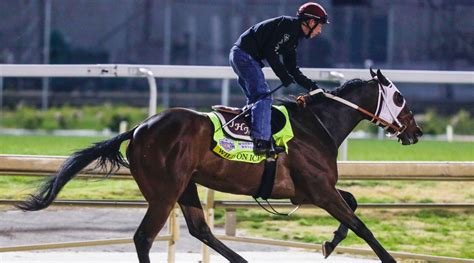 Kentucky Derby horse Wild on Ice dies nine days before race - Sports ...