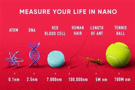 Nanotechnology; Tiny Science. Nanotechnology is measured in… | by ...