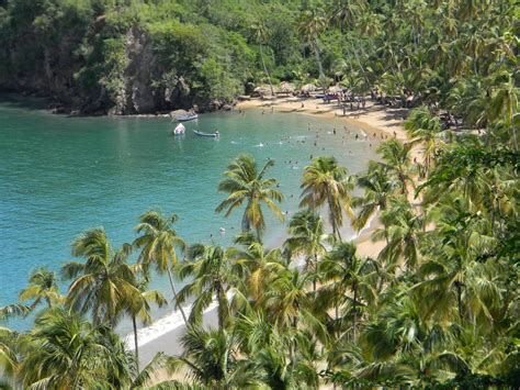 Playa Medina - Venezuela Tuya