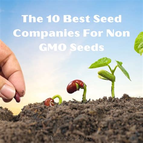 The 10 Best Seed Companies For Non GMO Seeds | Seed company, Seeds, Buy ...