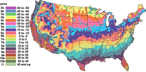 Hardiness Zones Are Explained An D Displayed. Several Charts For ...