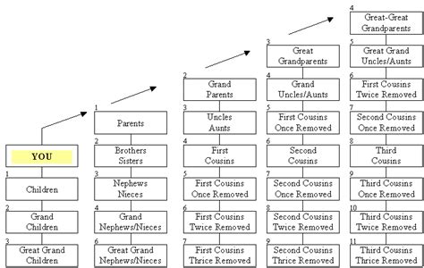 Chart Of Consanguinity