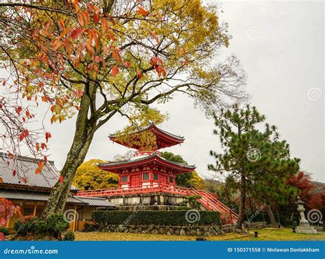 Shinto Shrine in Kyoto, Japan Stock Photo - Image of park, hall: 150371558