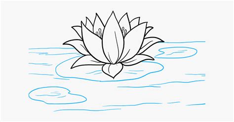 Clip Art Lotus Flower Sketch - Water Lily Drawing Easy , Free ...