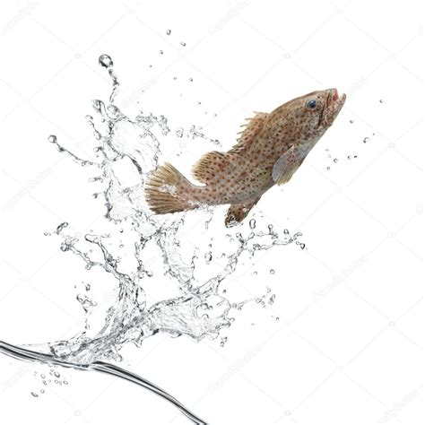 Fish jumping — Stock Photo © ifong #9135445