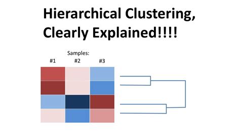 05 Hierarchical Databases | hierarchical คือ – Webgiasi.vn – Siêu thị ...