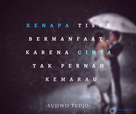 Kata Kata Bijak Cinta Singkat Tapi Bermakna