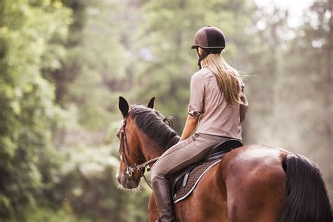 Pin on horse lessons